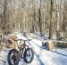 foes-mutz-brown-trail-winter