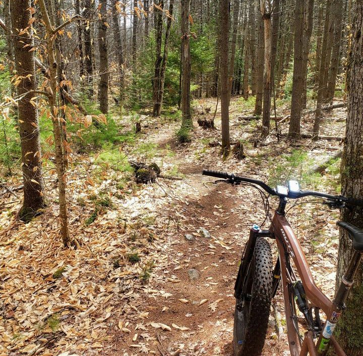 Foes Mutz 130 brown 2018 trail