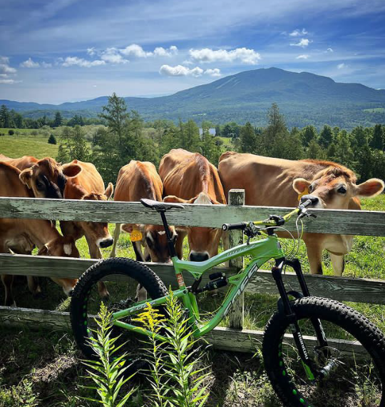 Fatbike léto 2023 Foes Mutz