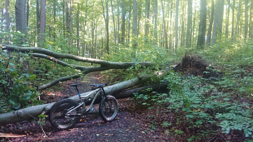 Foes Mutz FatBike Czech Republic Podzim 2022