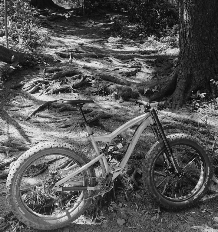 Foes Mutz enjoy forest