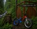 Fatbike Czech trail
