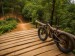 Foes Mutz Brown Fatbike Trail