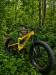 Foes Mutz Yellow Fatbike Trail 